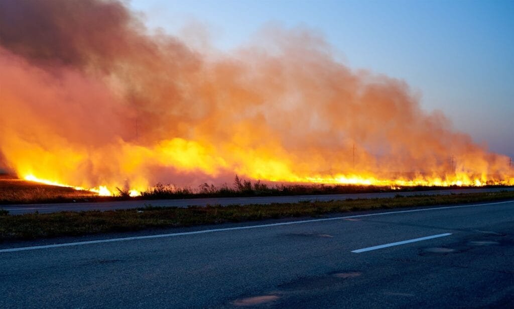 wildfire burns next to a road