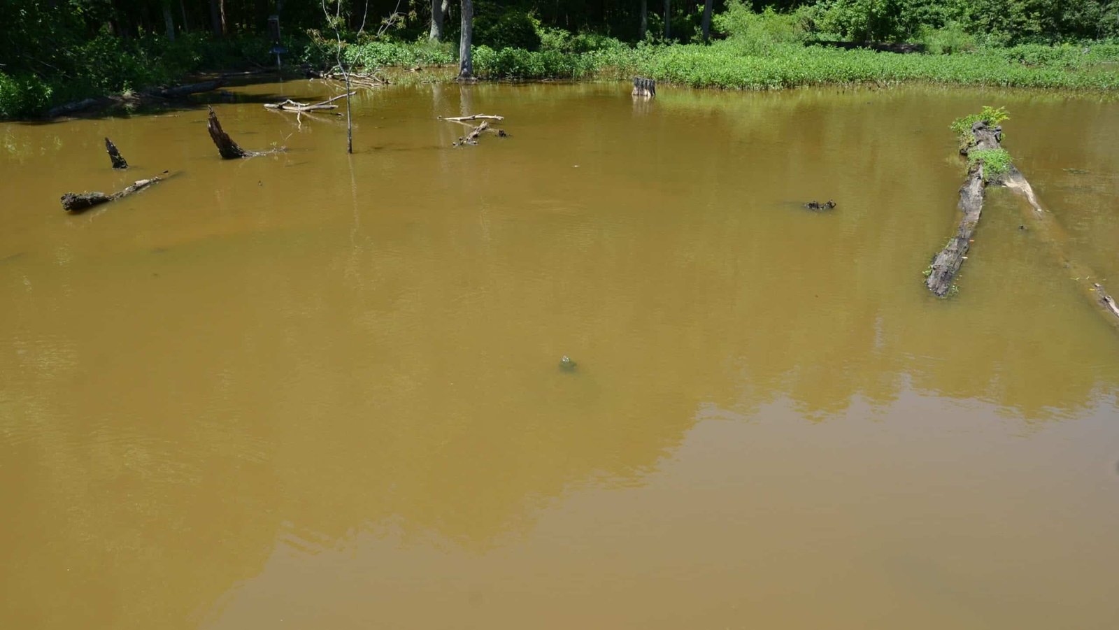 murky water that needs emergency water filtration